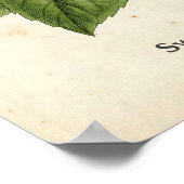 Personalized Vintage Basil Herb Botanical Kitchen  Poster (Ecke)