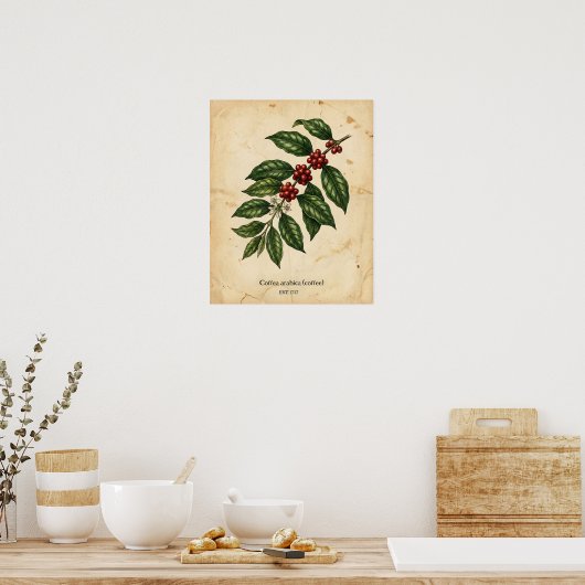 Personalized Vintage Coffee Plant Botanical Poster (Küche)