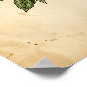 Personalized Vintage Coffee Plant Botanical Poster (Ecke)