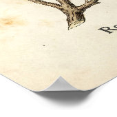 Personalized Vintage Rosemary Herb Botanical Poster (Ecke)