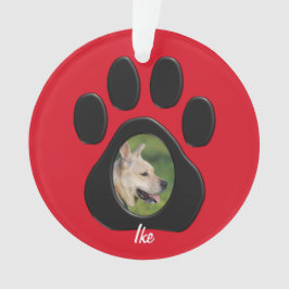 (Personifizieren Sie), der Ornament