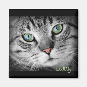 Personifizieren Sie einen Magneten mit Ihrem Magnet