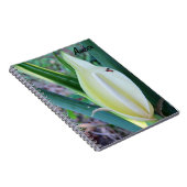 Personifizieren Sie Elefant-Ohr-Blüten-Foto Notizblock (Rechte Seite)