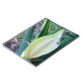 Personifizieren Sie Elefant-Ohr-Blüten-Foto Notizblock (Linke Seite)