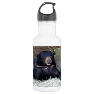 Personifizieren Sie Foto des Honig-Bärn-(Sun-Bär Edelstahlflasche