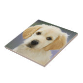 Personifizieren Sie Ihr Haustier Fliese (Seite)