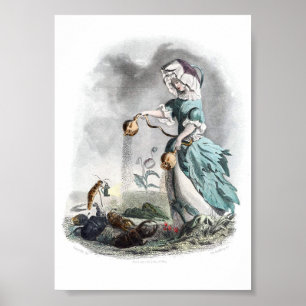 Personifizierte Blumen - Mohn Poster