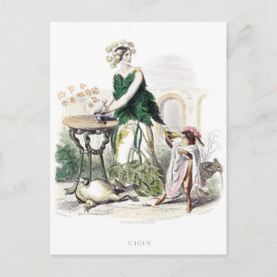 Personifizierte Blumen Postkarte