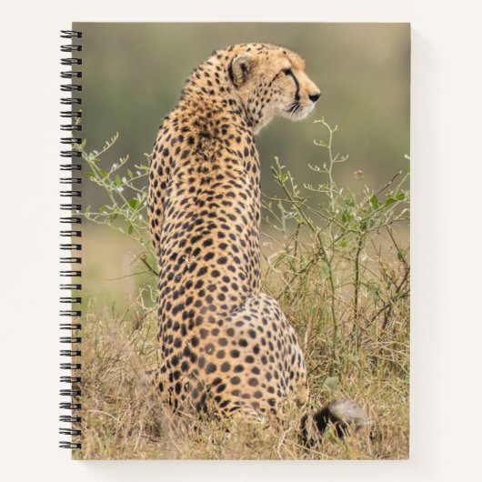 Persönliche Bezeichnung Cheetah Spiral Notebook Notizblock (Vorderseite)