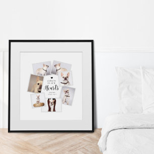 Persönliche Gedenkstätte für Haustiere mit mehrere Poster