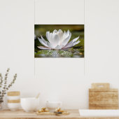 Persönliche Karpfen Diem Weißwasserlilie blühen Poster (Küche)