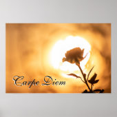 Persönlicher Carpe Diem glänzende Rose blüht bei S Poster (Vorne)
