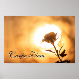 Persönlicher Carpe Diem glänzende Rose blüht bei S Poster