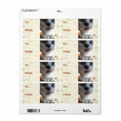 Persönlicher Raum (Vorne)