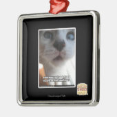 Persönlicher Raum Ornament Aus Metall (Links)