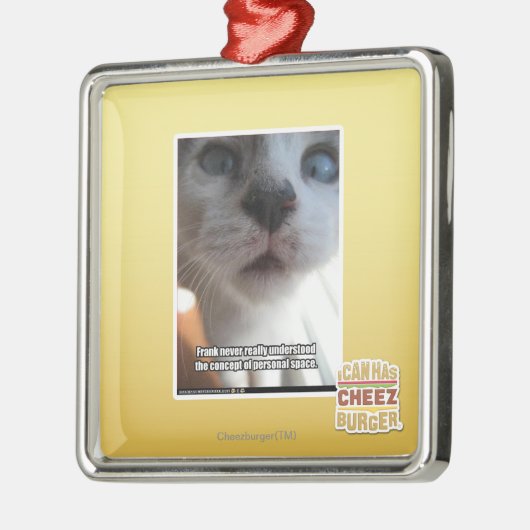 Persönlicher Raum Silbernes Ornament (Links)