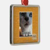 Persönlicher Raum Silbernes Ornament (Rechts)