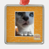 Persönlicher Raum Silbernes Ornament (Vorne)