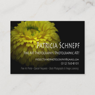 Persönliches Geschäft Card-2 Patricia Schnepfs Visitenkarte