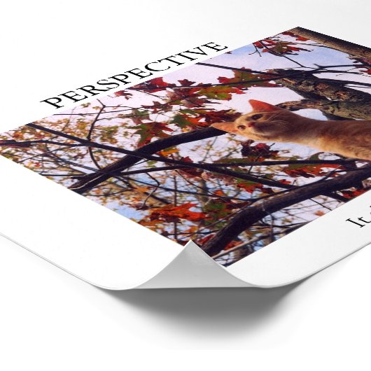 Perspective Poster (Ecke)