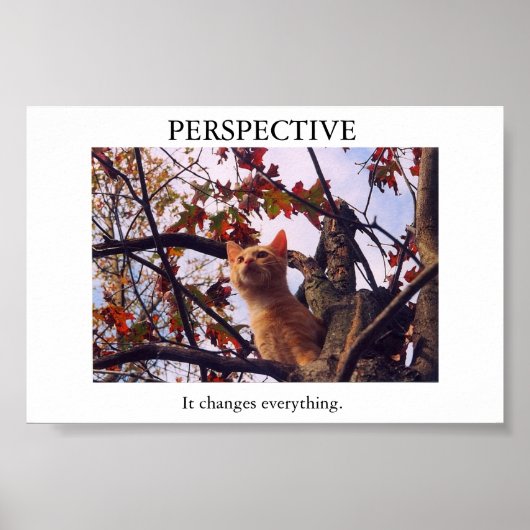 Perspective Poster (Vorne)