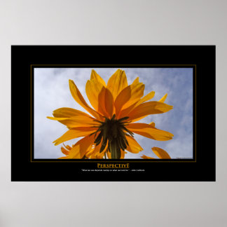 Perspective Poster