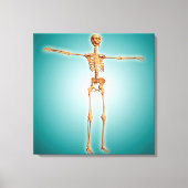 Perspektive des menschlichen Skelettsystems Leinwanddruck (Vorderseite)