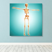 Perspektive des menschlichen Skelettsystems Leinwanddruck (Insitu (Holzboden))