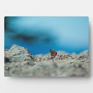 Perspektive Fotoplatte