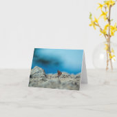 Perspektive Karte (Gelbe Blume)