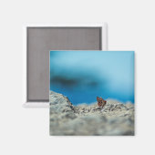 Perspektive Magnet (Vorderseite/Rückseite)