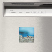 Perspektive Magnet (In Situ (Geschirrspüler))