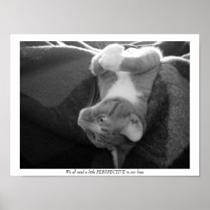 Perspektive Poster