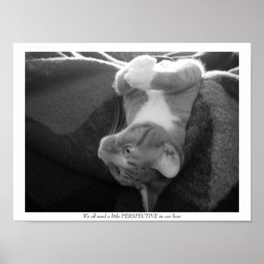 Perspektive Poster (Vorne)