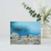 Perspektive Postkarte (Stehend Vorderseite)