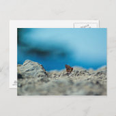 Perspektive Postkarte (Vorne/Hinten)