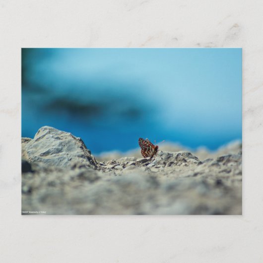 Perspektive Postkarte (Vorderseite)