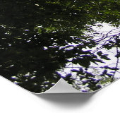 Perspektive - Waldland-Foto Poster (Ecke)