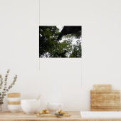 Perspektive - Waldland-Foto Poster (Küche)