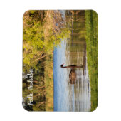 Perth Black Swan Australia Magnet (Vertikal)