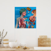 Pertussis (husten)-Poster Poster (Küche)