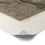 Peru 35 poster (Ecke)