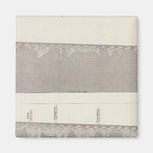 Peru 6 magnet (Vorne)