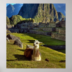 Peru, Anden, Anden-Gebirge, Machu Picchu Poster