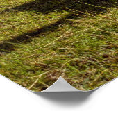 Peru, Anden, Anden, Machu Picchu, 2 Poster (Ecke)