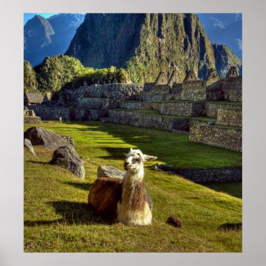 Peru, Anden, Anden, Machu Picchu, 2 Poster (Vorne)