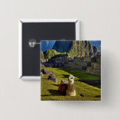 Peru, Anden, Anden, Machu Picchu Button (Vorne & Hinten)