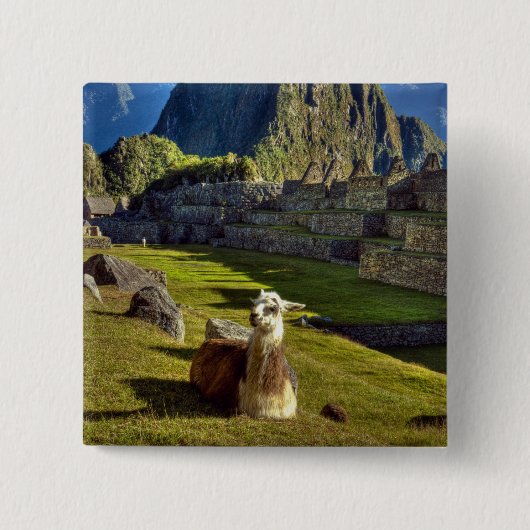 Peru, Anden, Anden, Machu Picchu Button (Vorderseite)