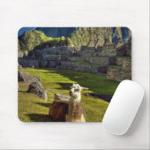 Peru, Anden, Anden, Machu Picchu Mousepad (Mit Mouse)