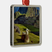 Peru, Anden, Anden, Machu Picchu Ornament Aus Metall (Rechts)